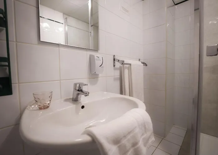 Logis Restaurant & A La 12 3* Delme